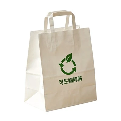 Biodegradable Paper Bag
